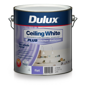 Interior and Exterior Paints and Finishes